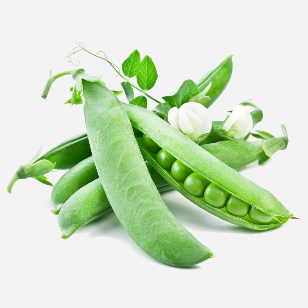 Chickpea Vegetable Legume Peas