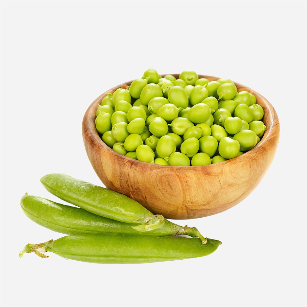 Chickpea Vegetable Legume Peas