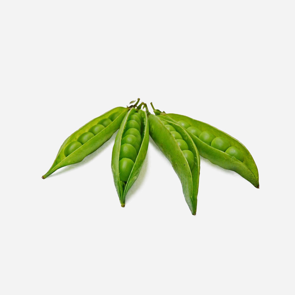 Chickpea Vegetable Legume Peas